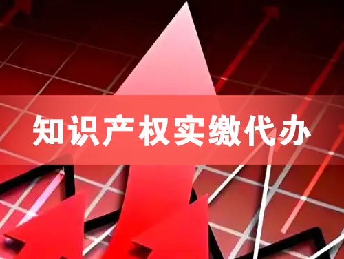 嵊州知识产权实缴资本代办